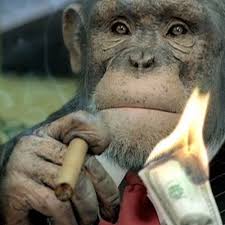 headmonkeyincharge